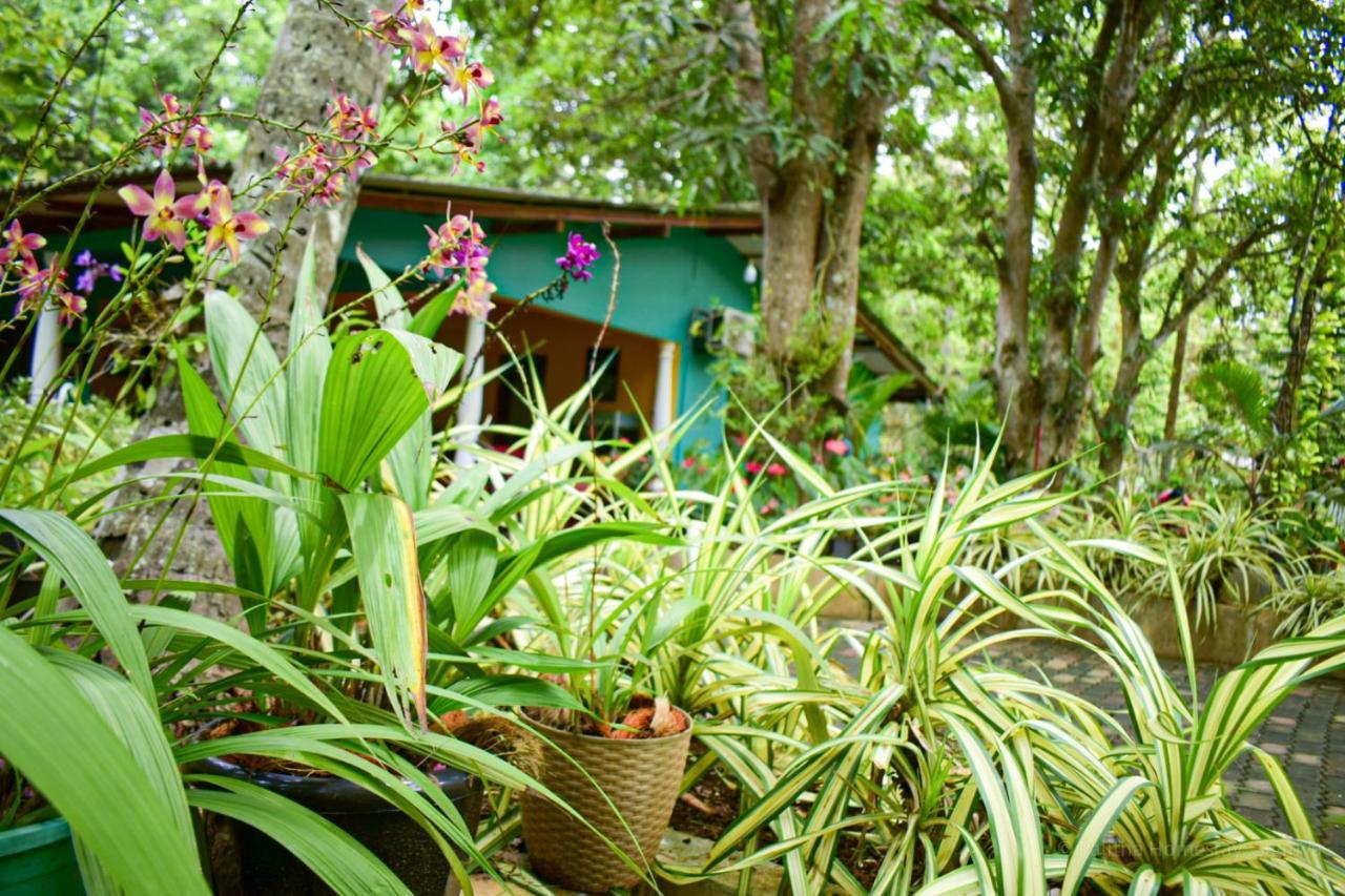 Palitha Homestay Sigiriya Bagian luar foto