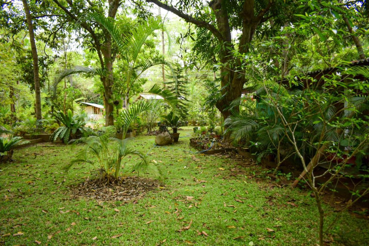 Palitha Homestay Sigiriya Bagian luar foto