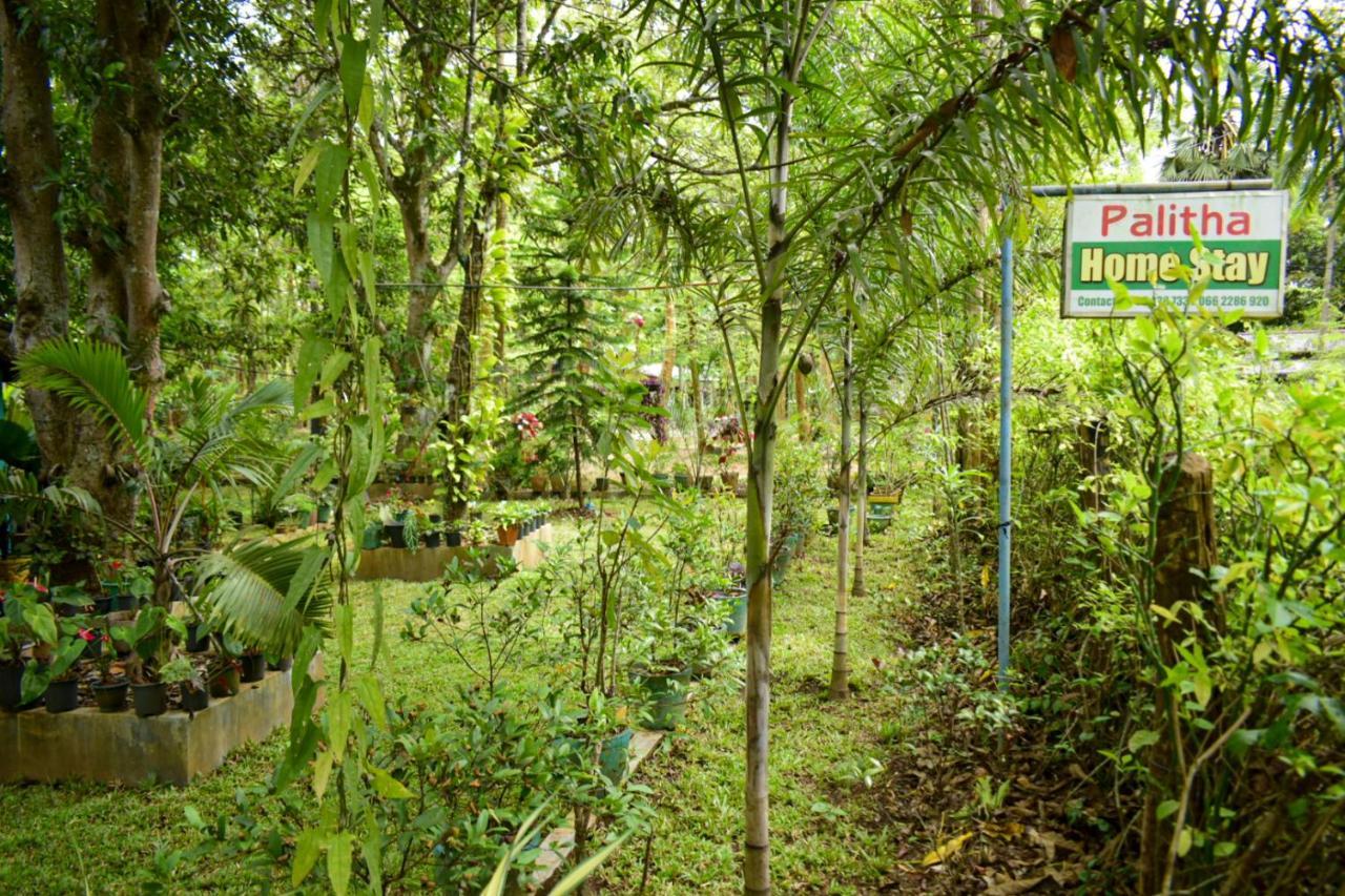 Palitha Homestay Sigiriya Bagian luar foto