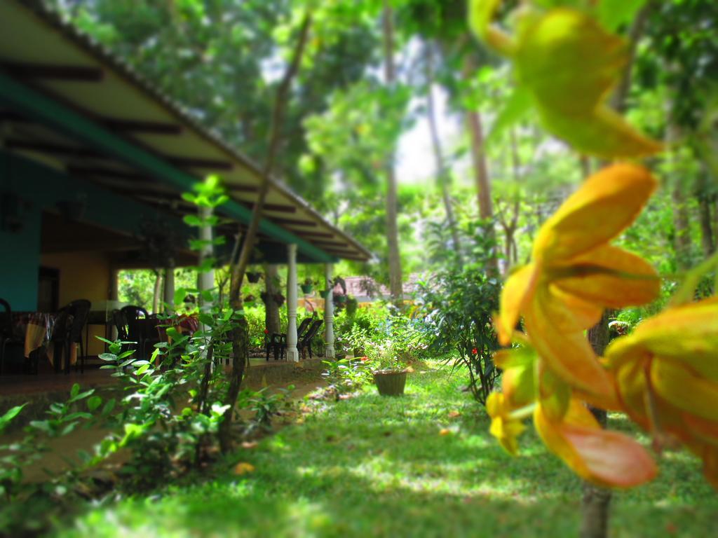 Palitha Homestay Sigiriya Bagian luar foto