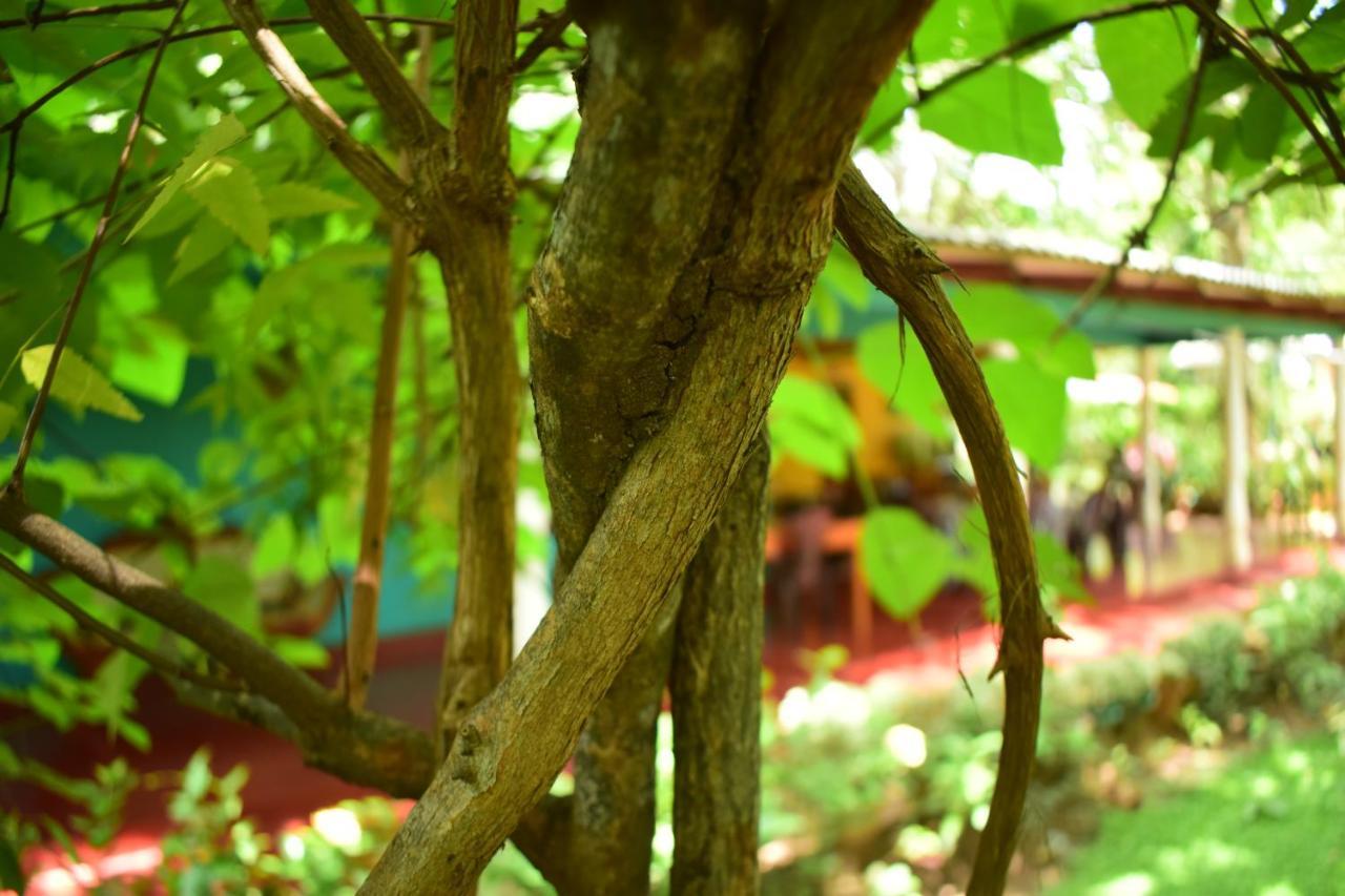 Palitha Homestay Sigiriya Bagian luar foto