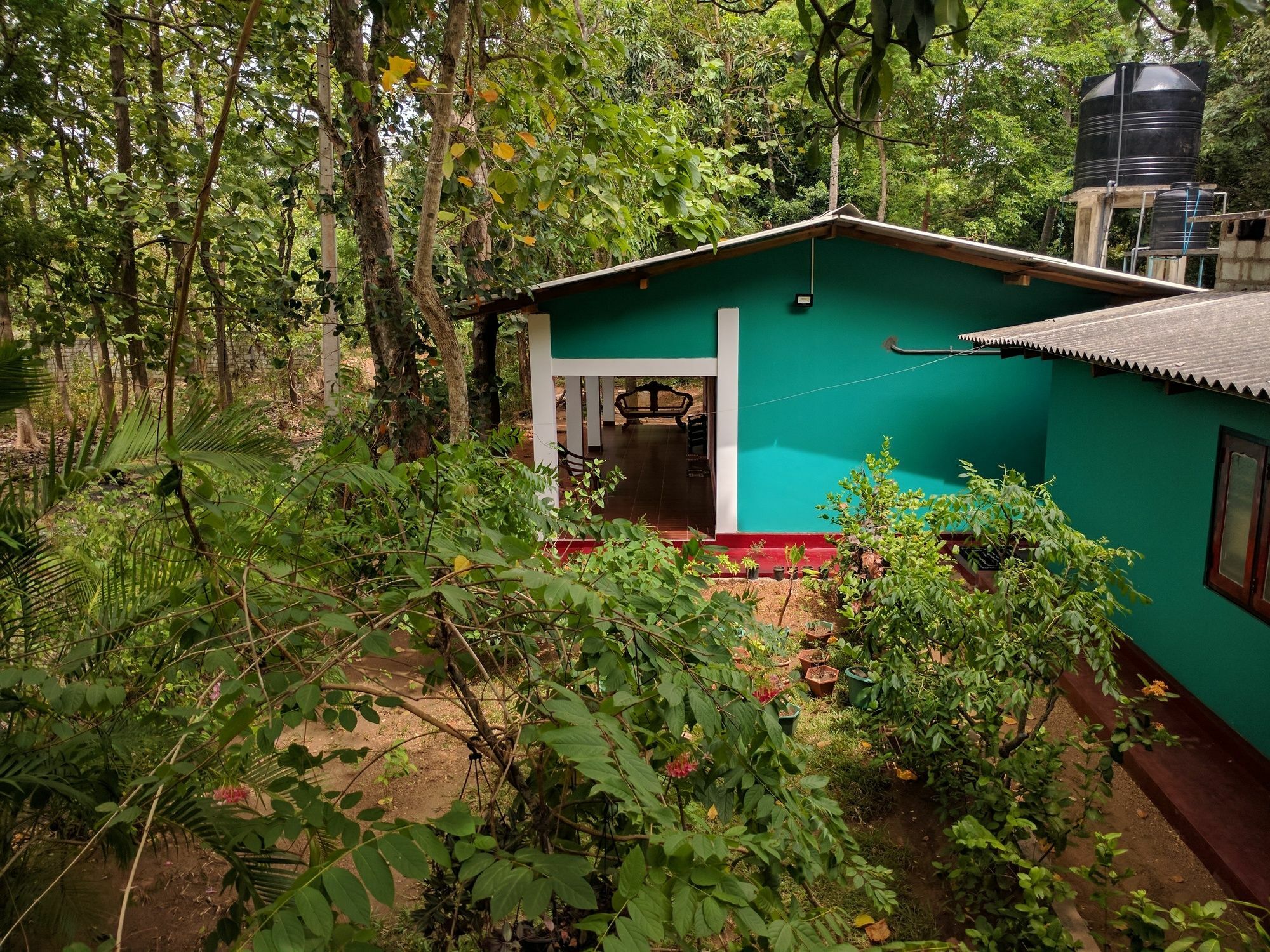 Palitha Homestay Sigiriya Bagian luar foto